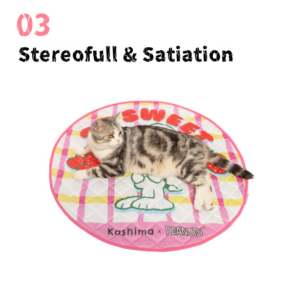 Kashima x Snoopy Strawberry Check Pet ice pad