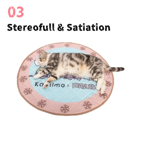 Kashima x Snoopy Pink Pet ice pad