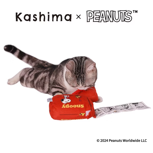 Kashima X Snoopy Mailbox Pet Toy