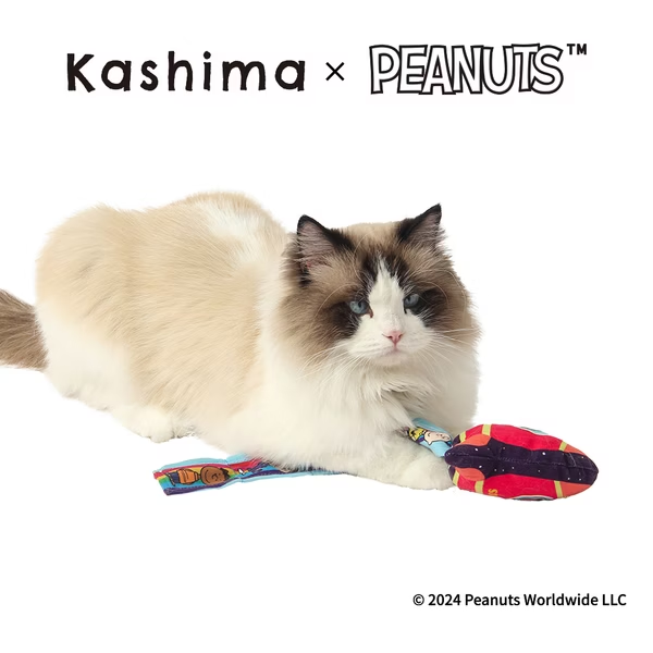 Kashima X Snoopy Rocket Pet Toy