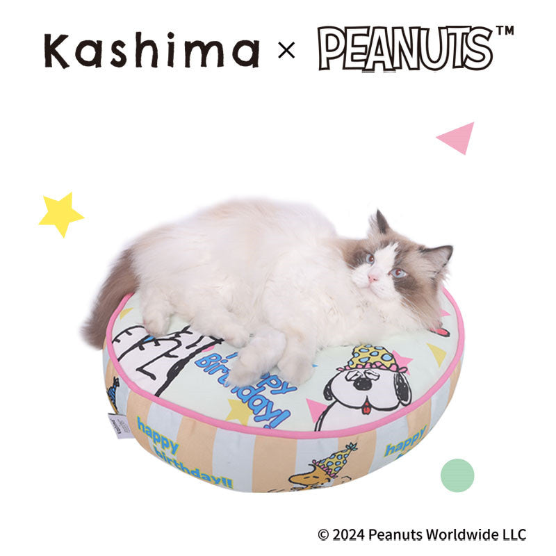 Kashima x Snoopy Premium Pet Cushion