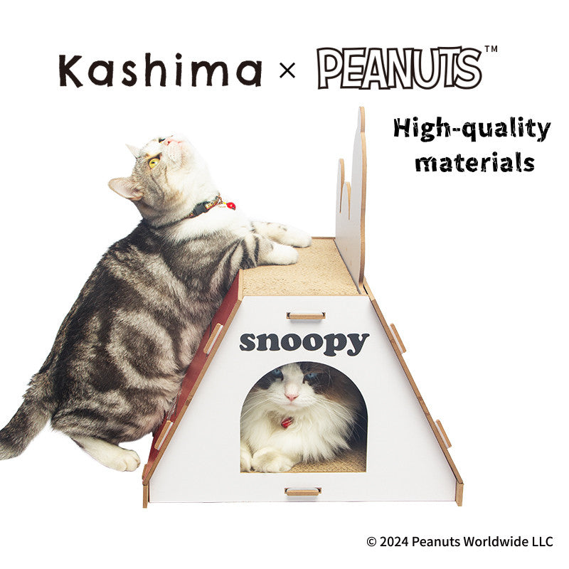 Kashima x Snoopy Red House Scratching Board