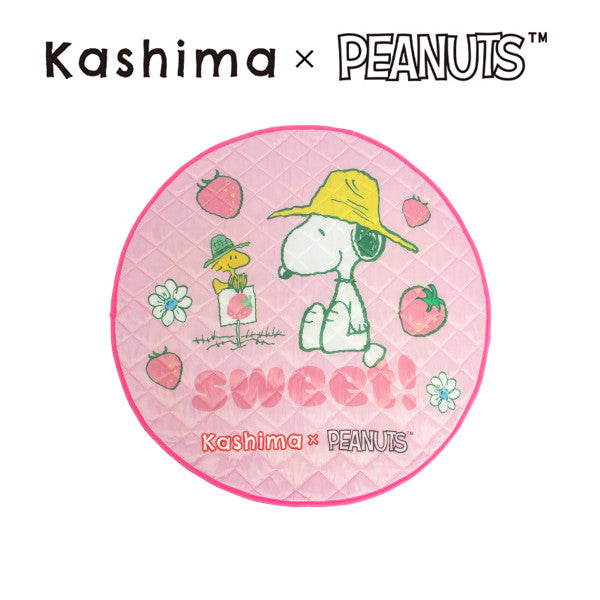 Kashima x Snoopy Strawberry Pet ice pad