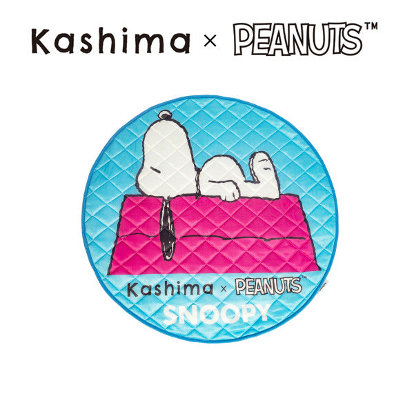 Kashima x Snoopy Home Home ice pad