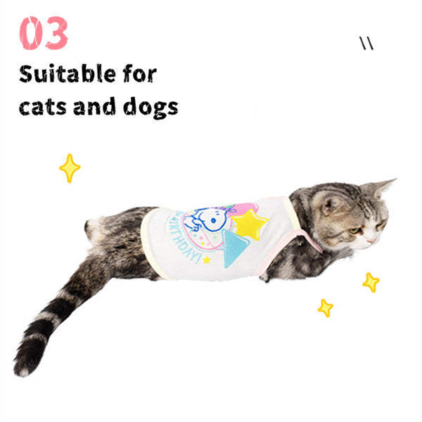 Kashima X Snoopy Birthday Pet Clothes