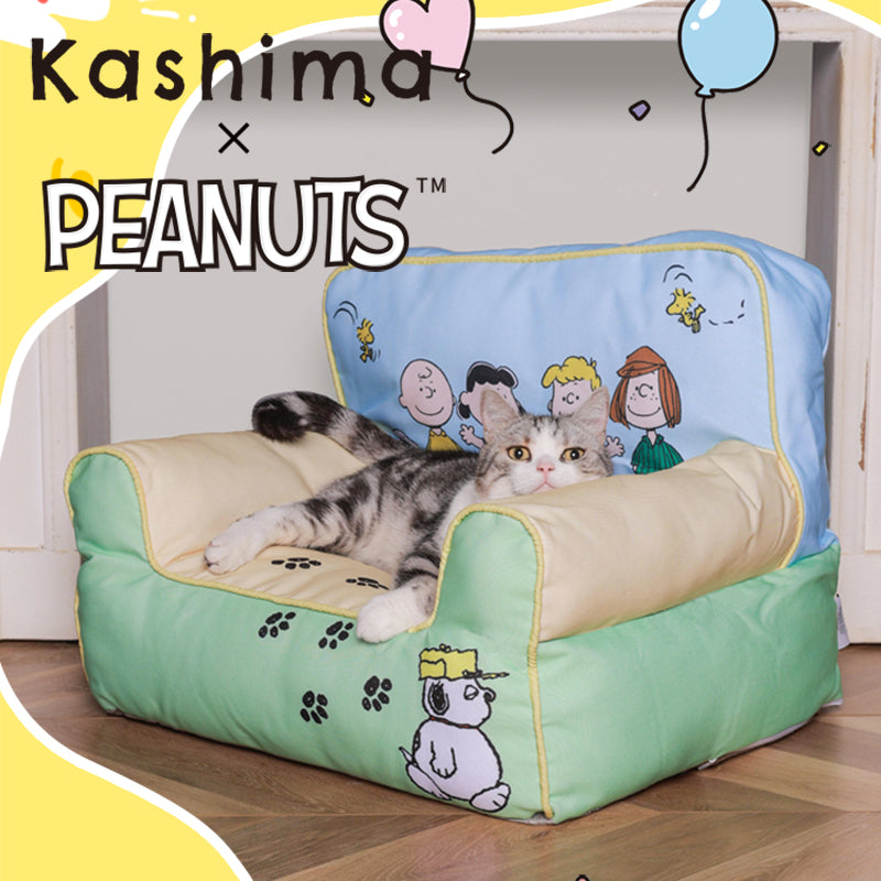 Kashima X Snoopy Spring Getaway Couch