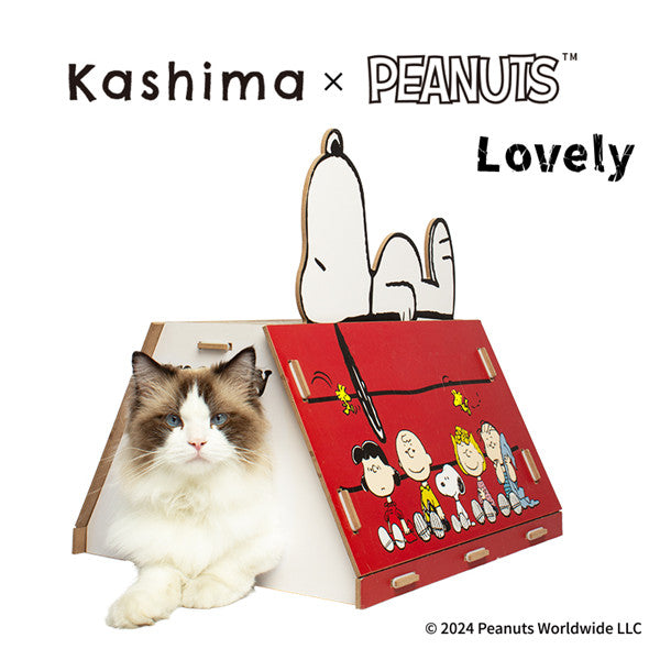 Kashima x Snoopy Red House Scratching Board