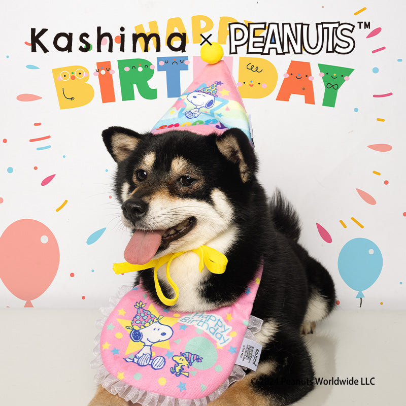 Kashima X Snoopy Birthday hat toy