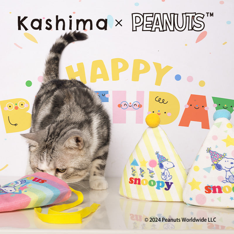 Kashima X Snoopy Birthday hat toy