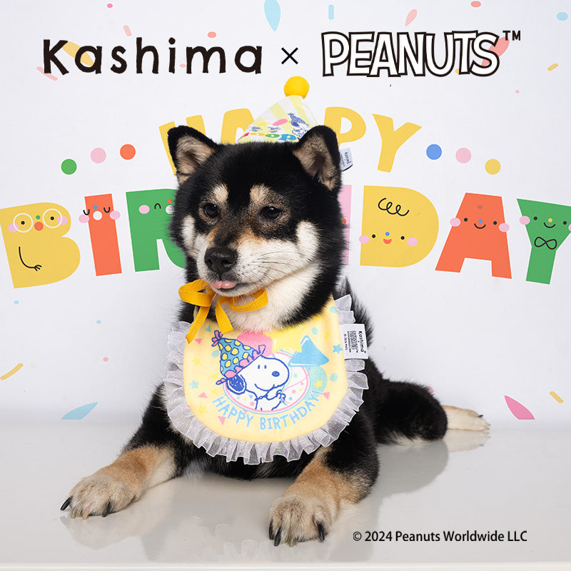 Kashima X Snoopy Birthday hat toy